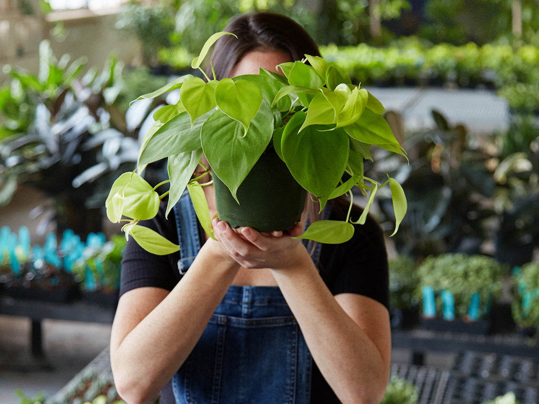 Celebrate International Women’s Day with Words of Wisdom from Female Founders