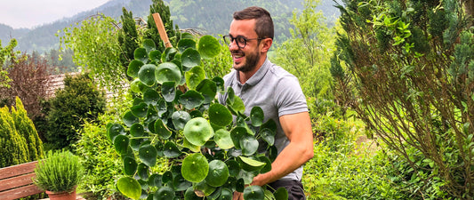 Plantfluencer Jan Robin