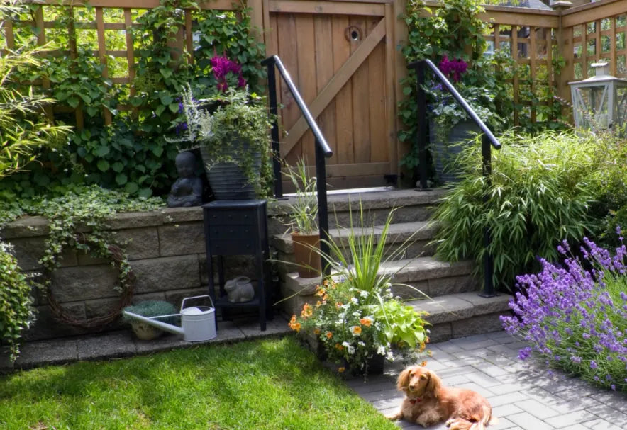 Best Plants to Grow Based on Your Hardiness Zone