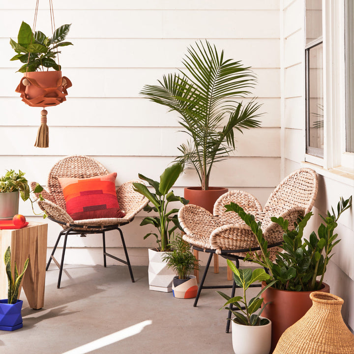 The Sill® + NYBG: Container Gardening