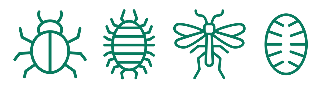 Bug Off: All About Scale