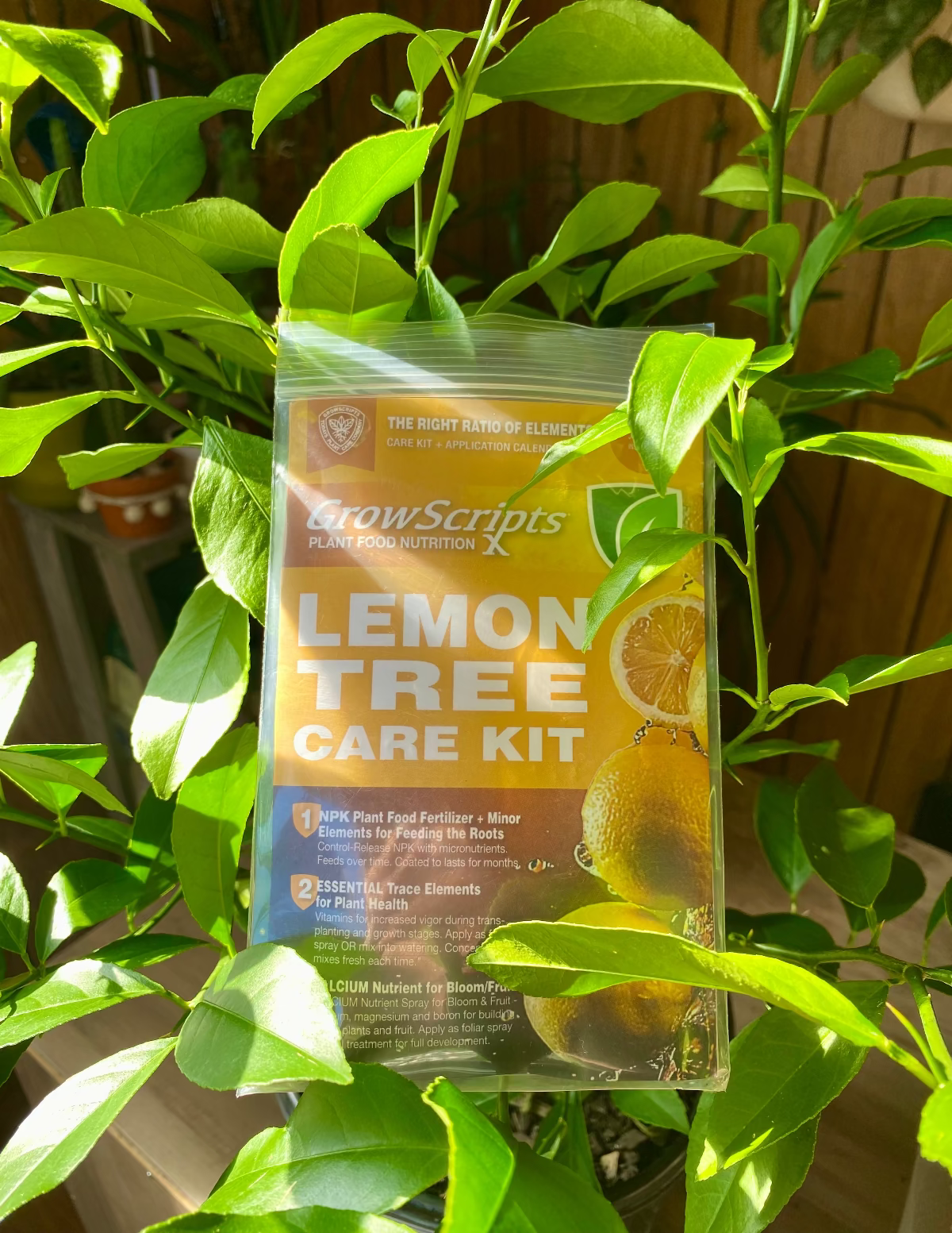 element plant GrowScripts Lemon Tree Care Kit
