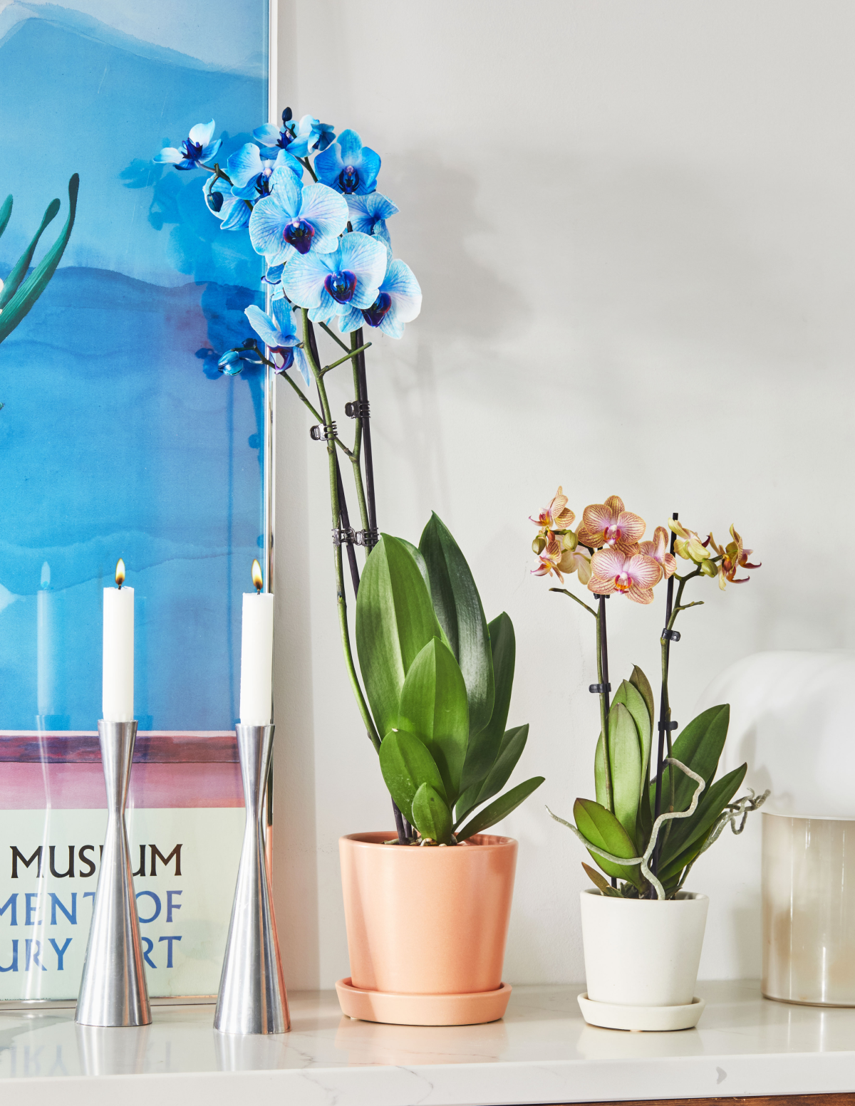 Watercolor Orchid Party Pack