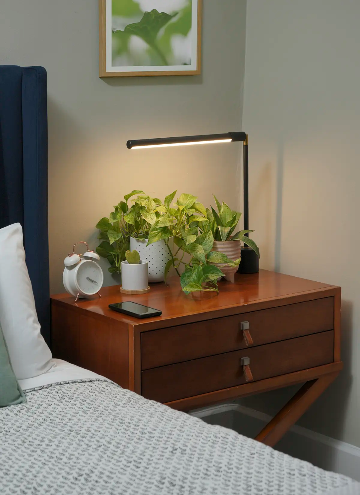 tabletop grow lights for plants Versa Tabletop Grow Light