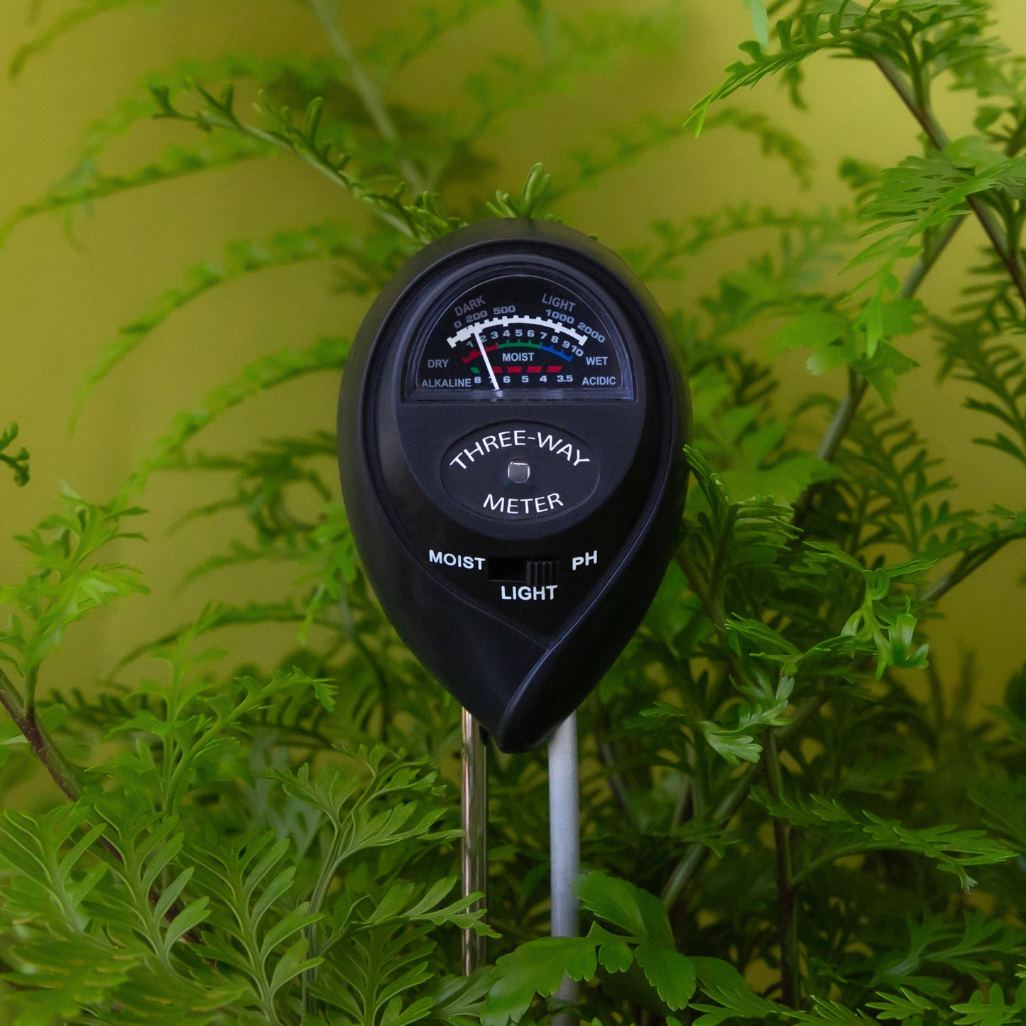 Moisture Meter