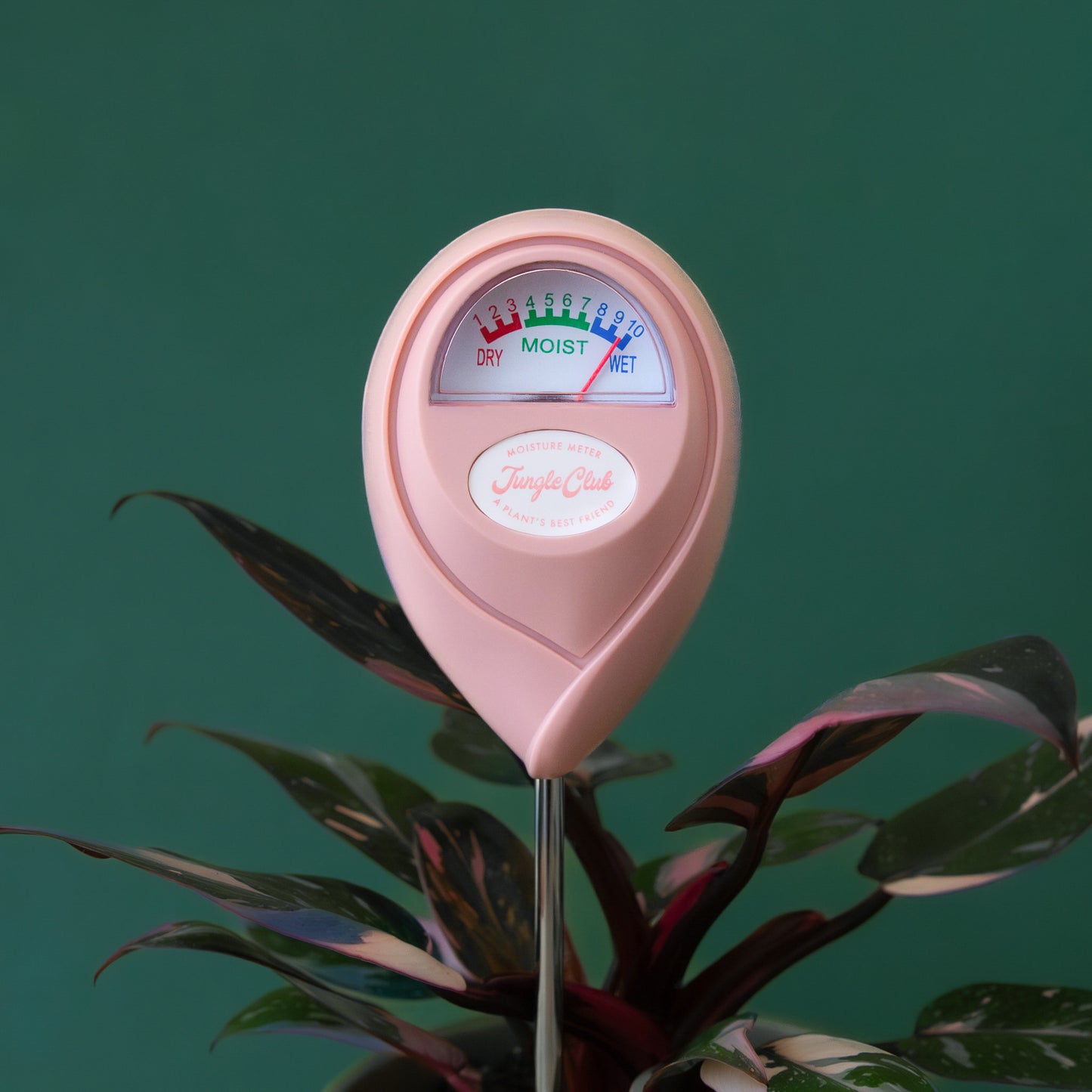 Moisture Meter