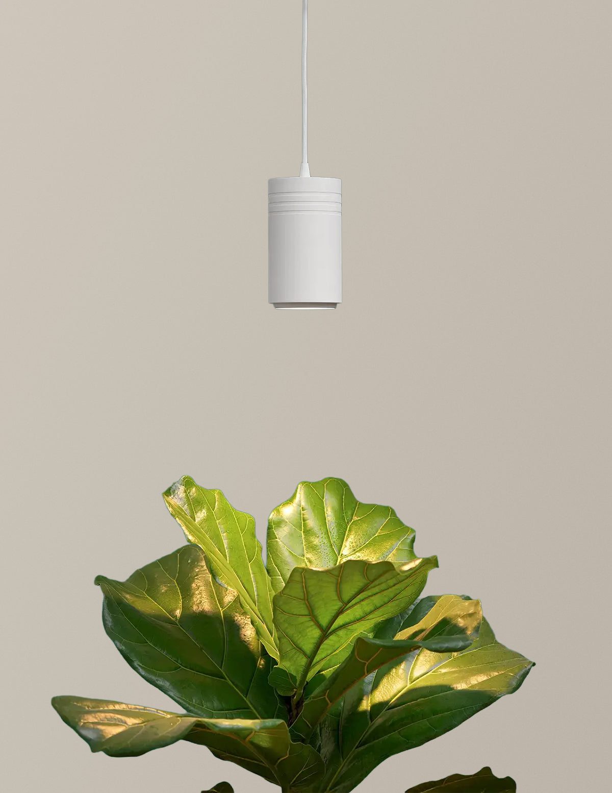 Aspect™ Gen 2 LED Grow Light
