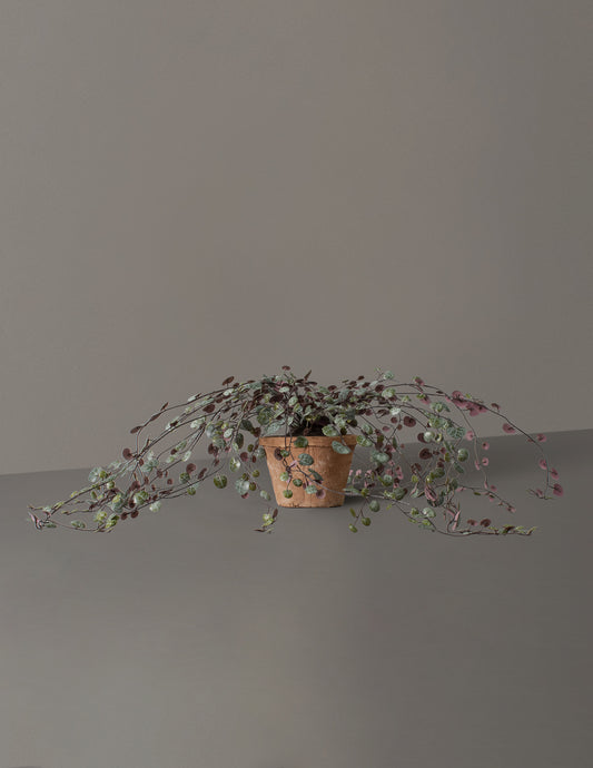 String of Hearts