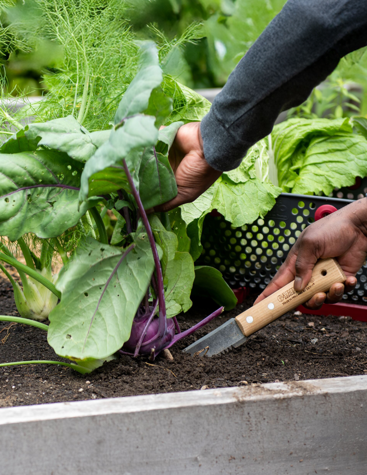 Gardener's Lifetime Hori Hori Knife