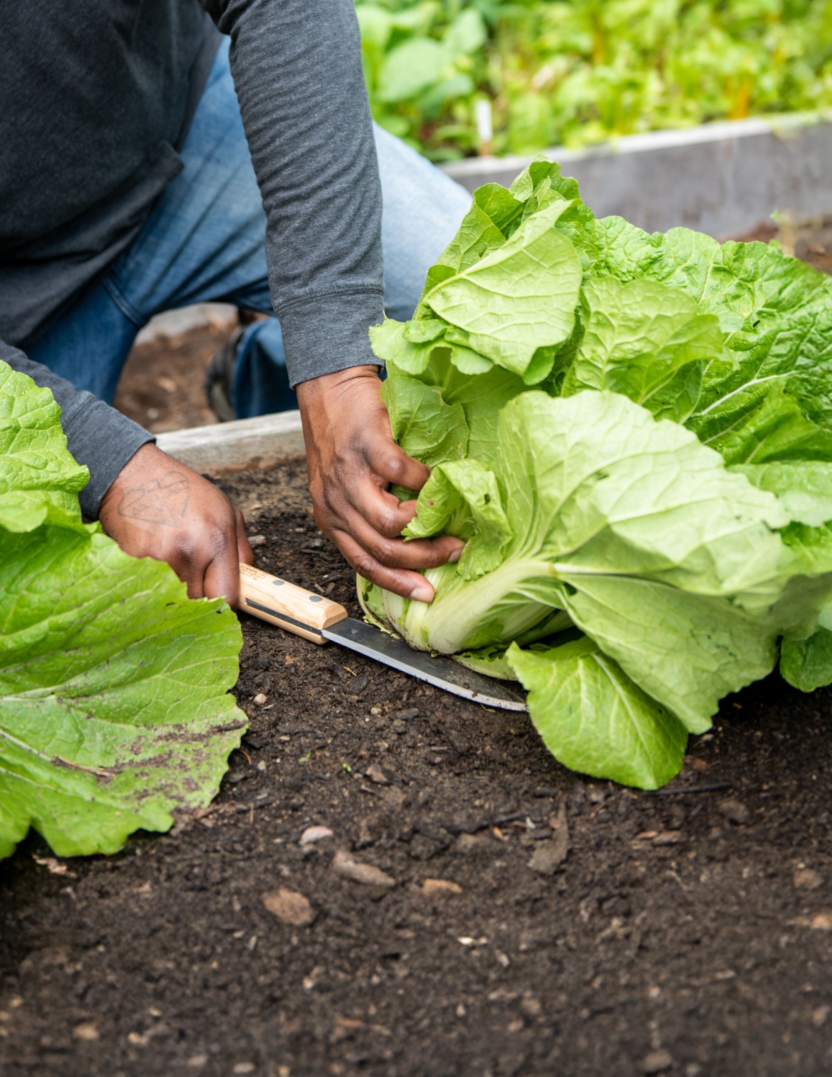 Gardener's Lifetime Hori Hori Knife