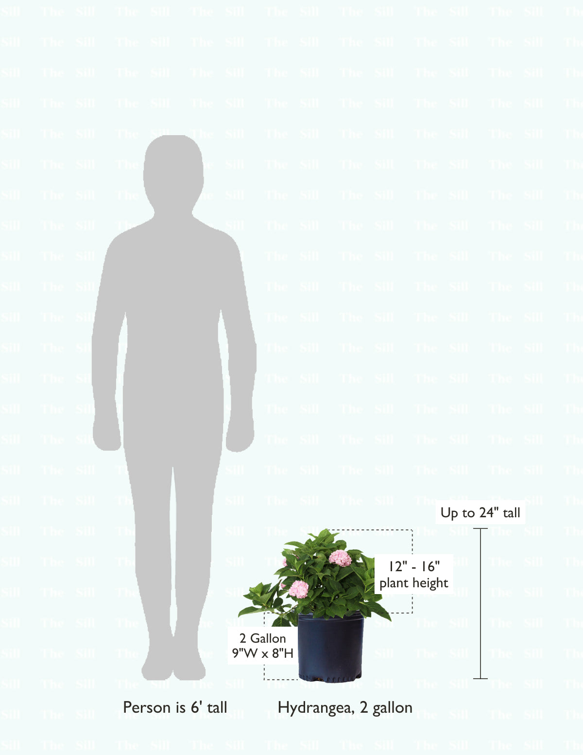 size-guide