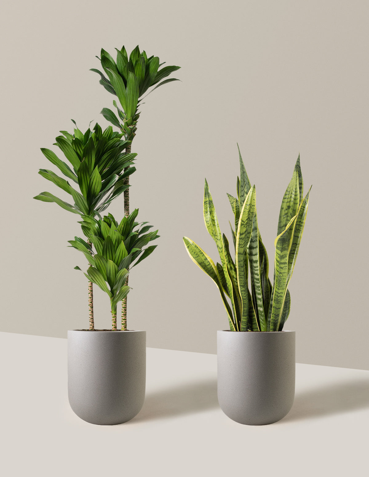 Modern Office Duo