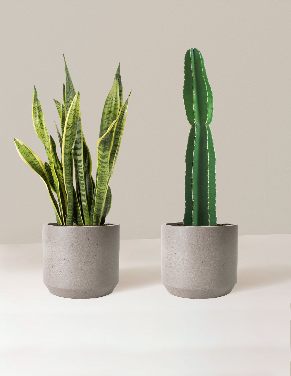 Large Set & Forget Duo