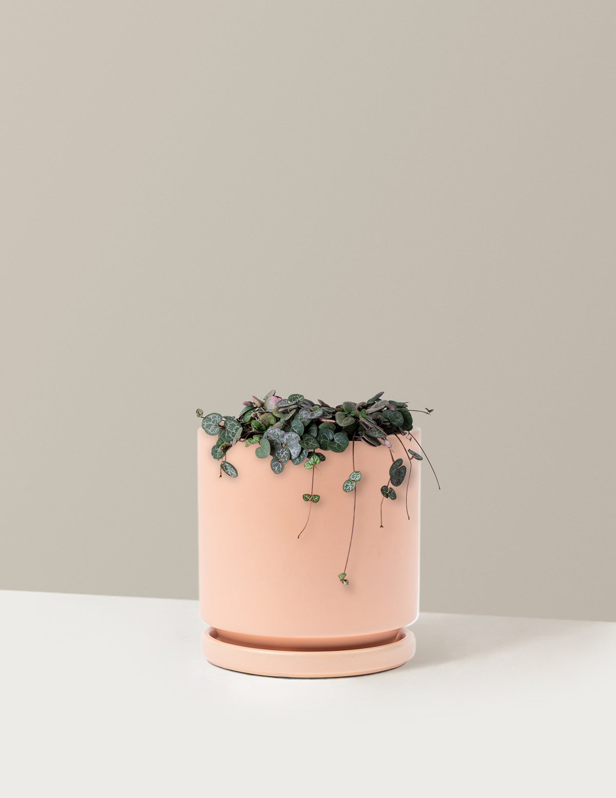 String of Hearts