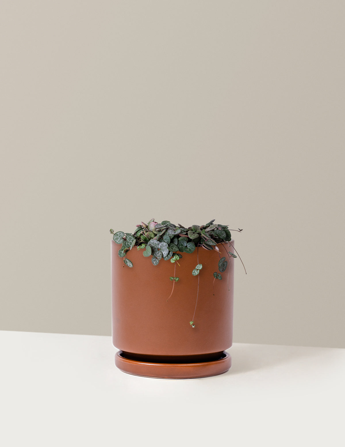 String of Hearts