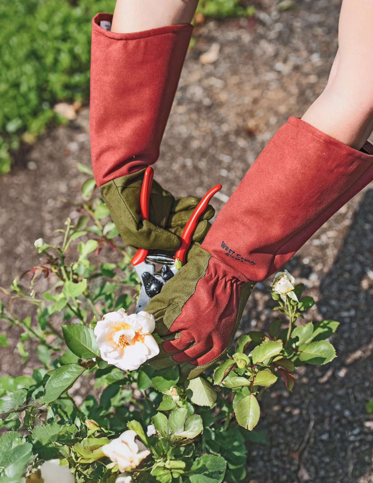 Rose Garden Gloves