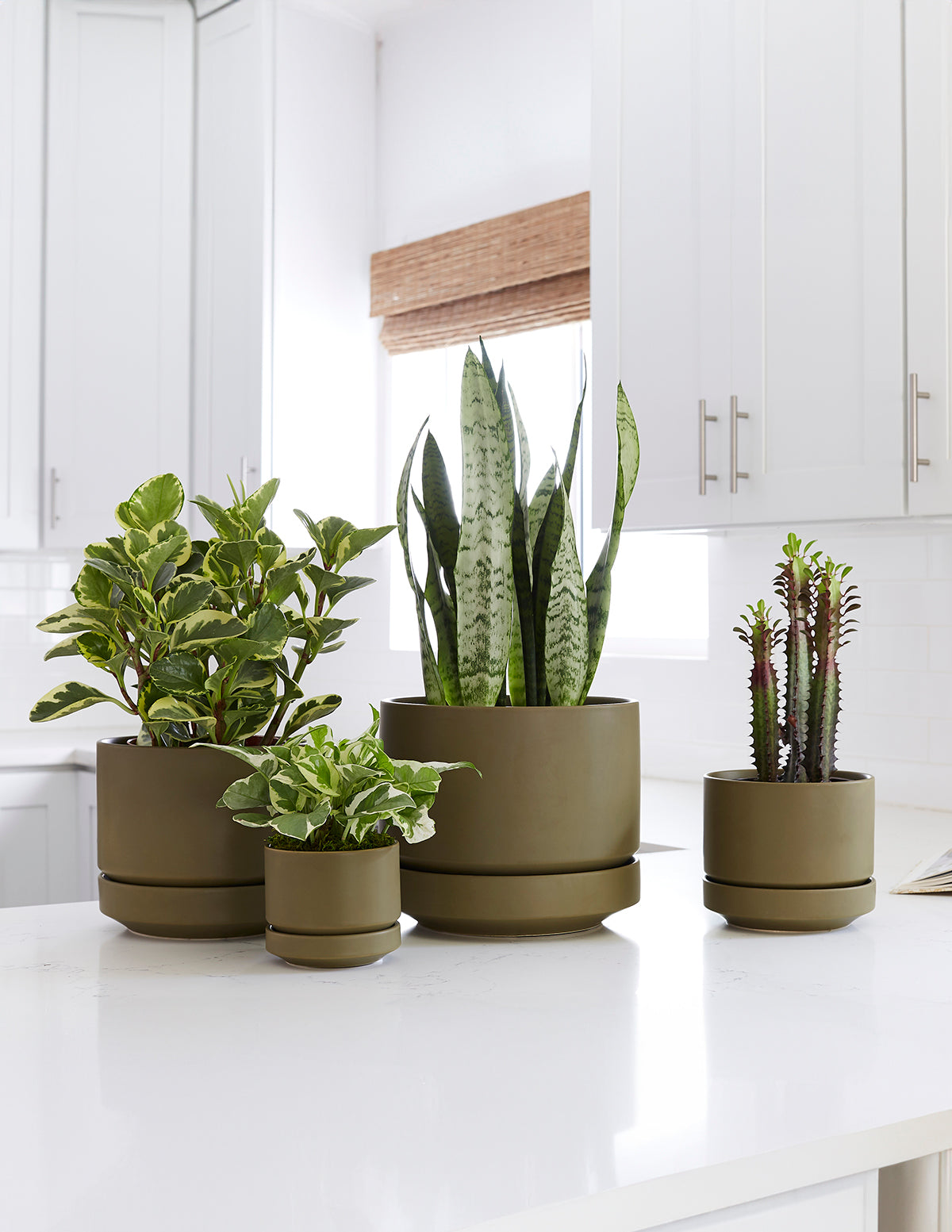 2 planter pots White Round Two Planter - 4-inch