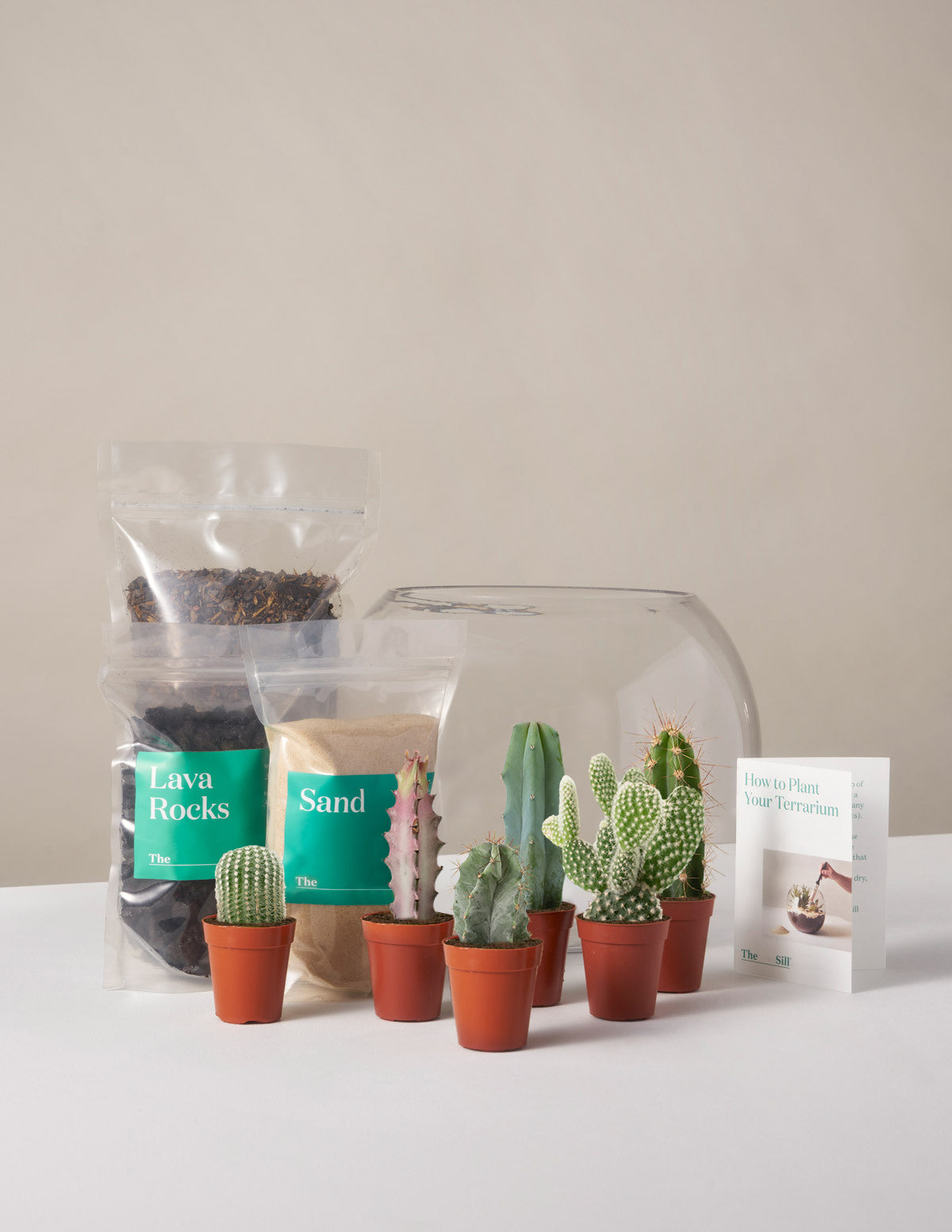 DIY Terrarium Kit