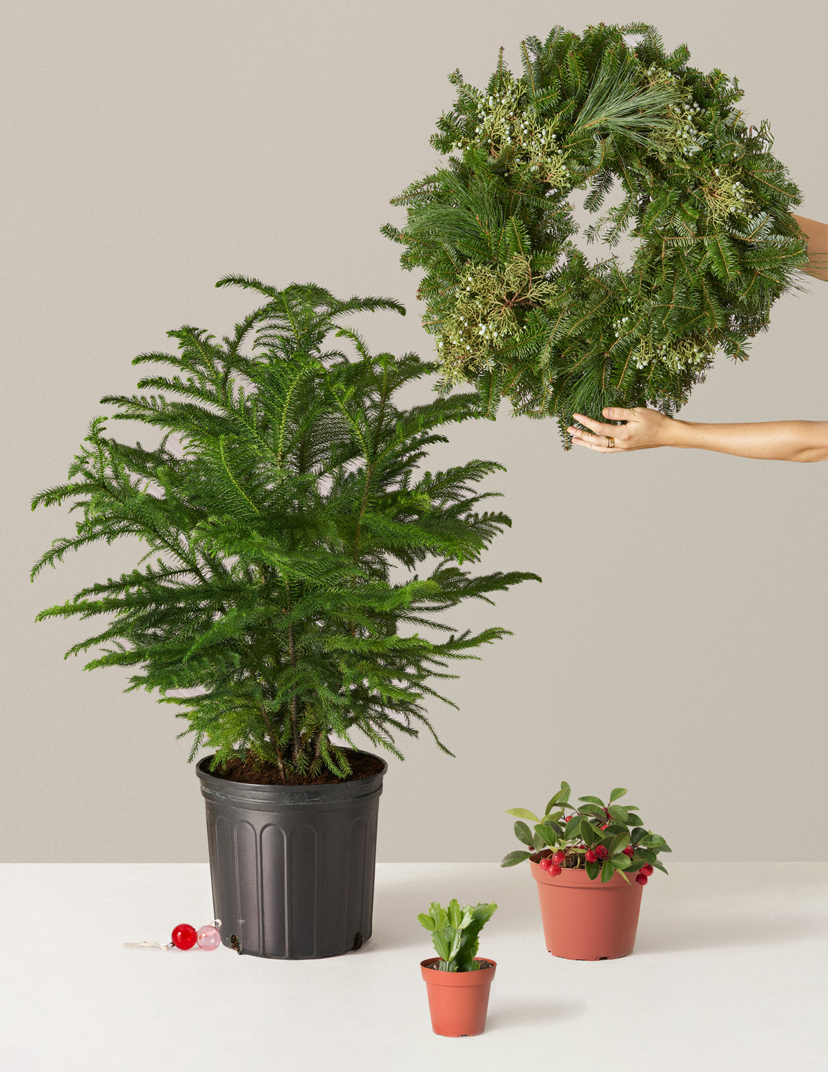 Home for the Holidays Bundle