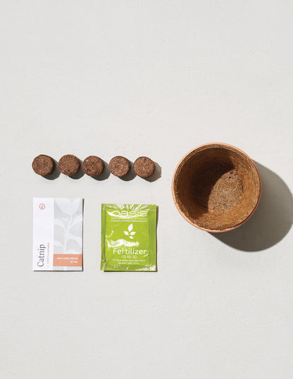 Tiny Terracotta Fruit & Veggie Trio