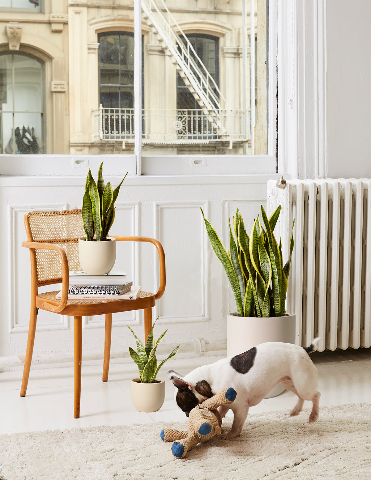 Modern Office Duo