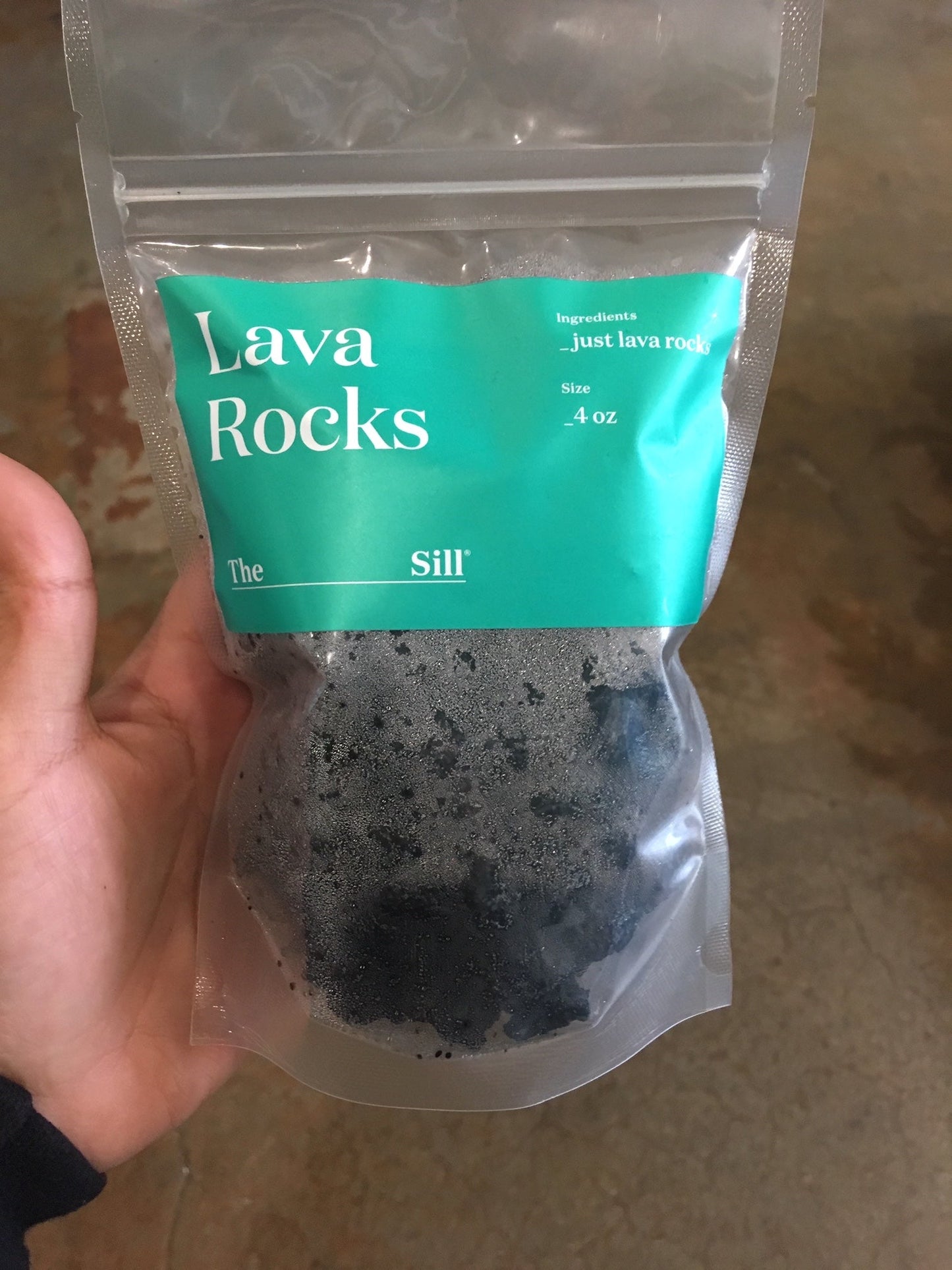 4oz Lava Rocks - The Sill | Indoor Plants