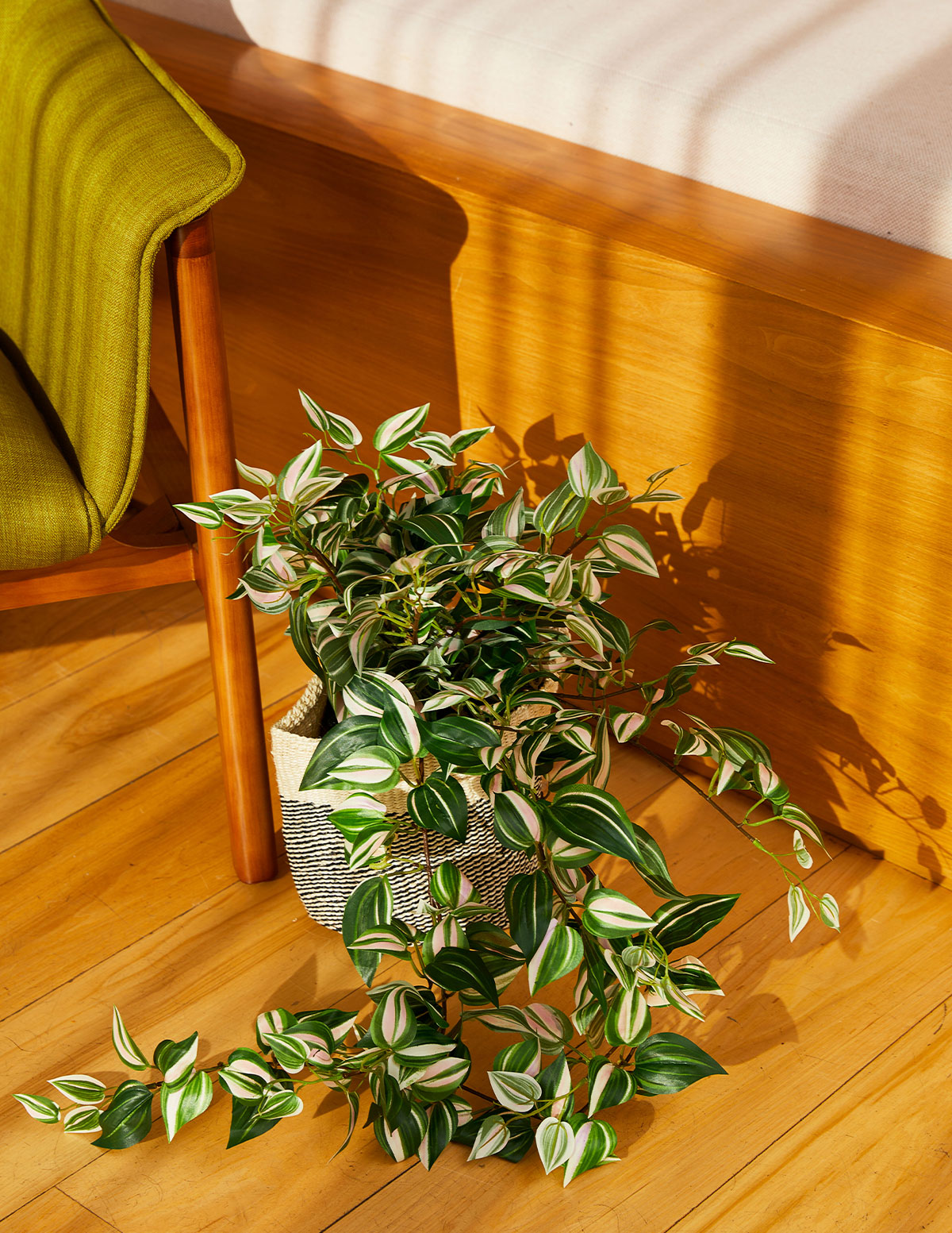 Faux Tradescantia Zebrina