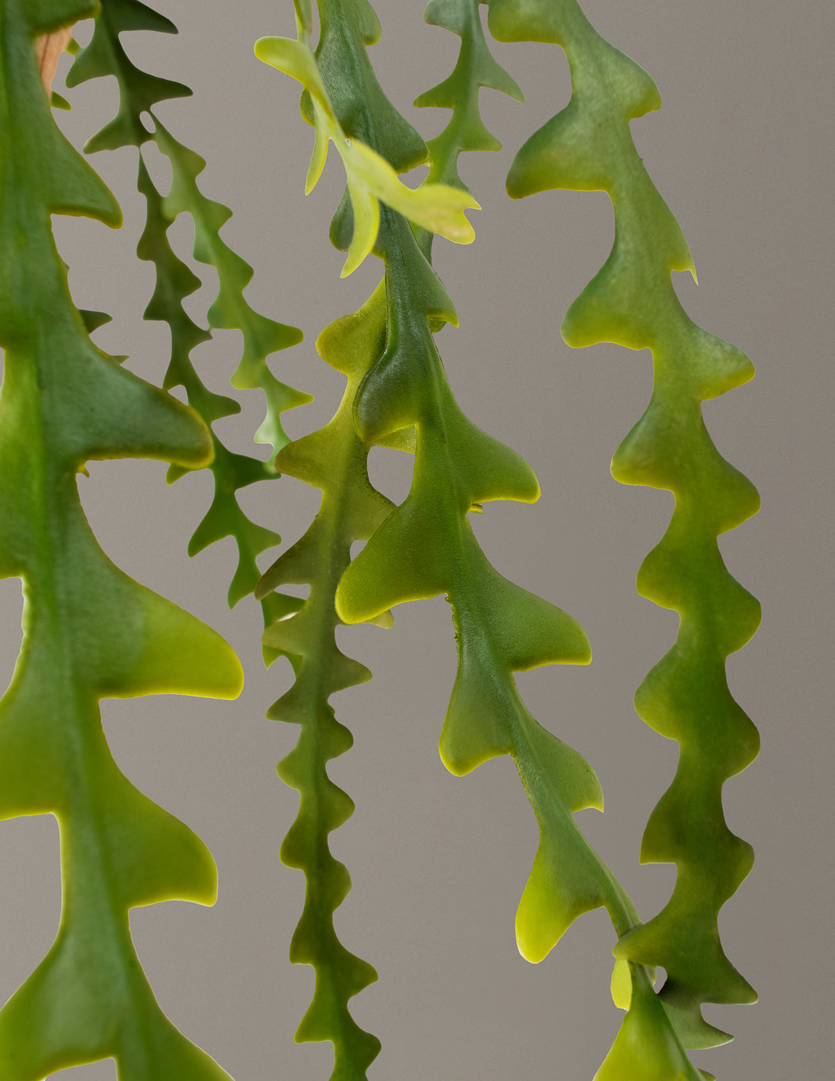 Faux Hanging Ric Rac Cactus