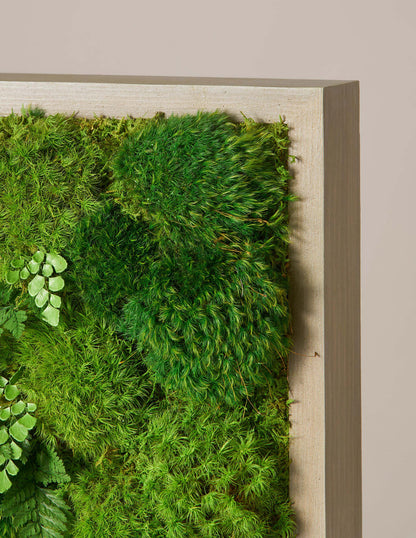 Small Preserved Living Wall 14" x 14"