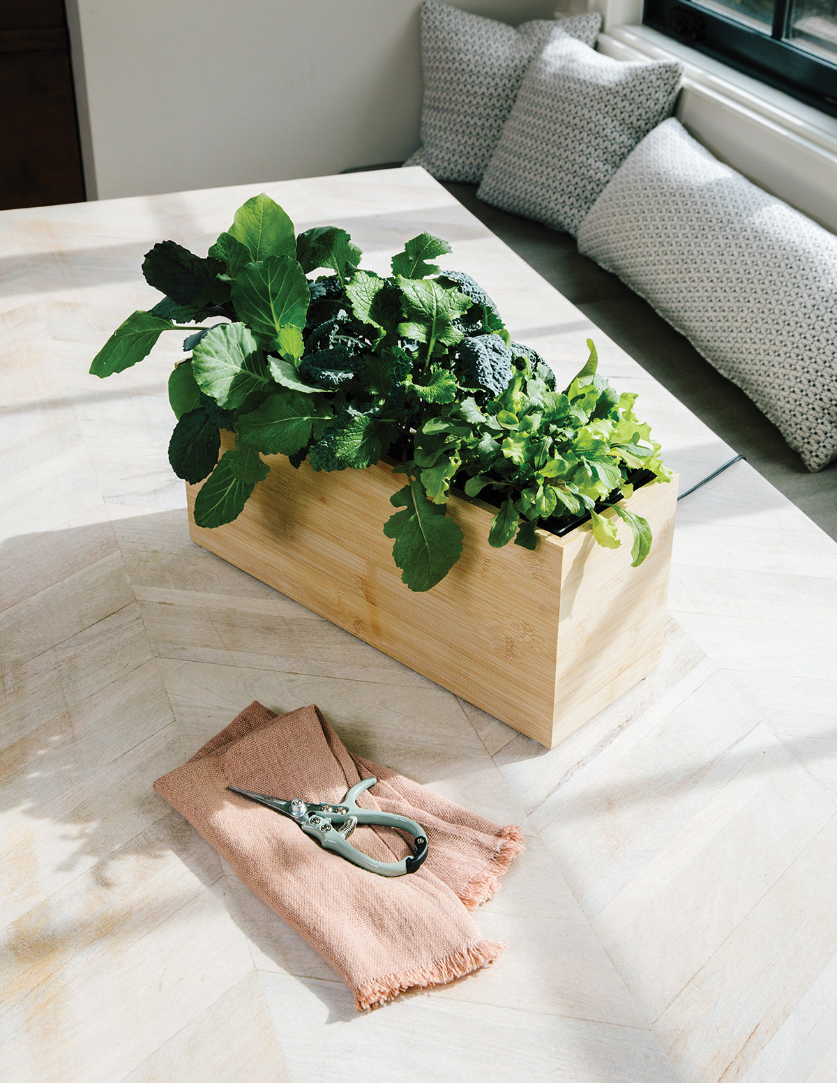 Pruning Shears