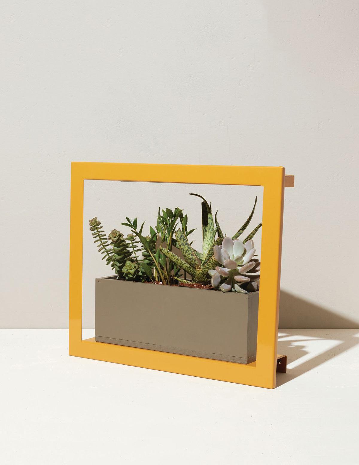 Smart Standard Growframe