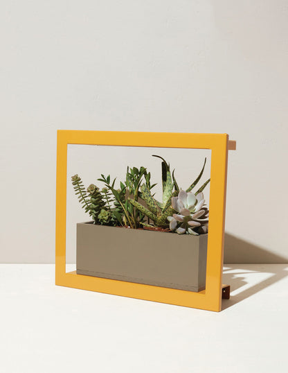 Smart Standard Growframe