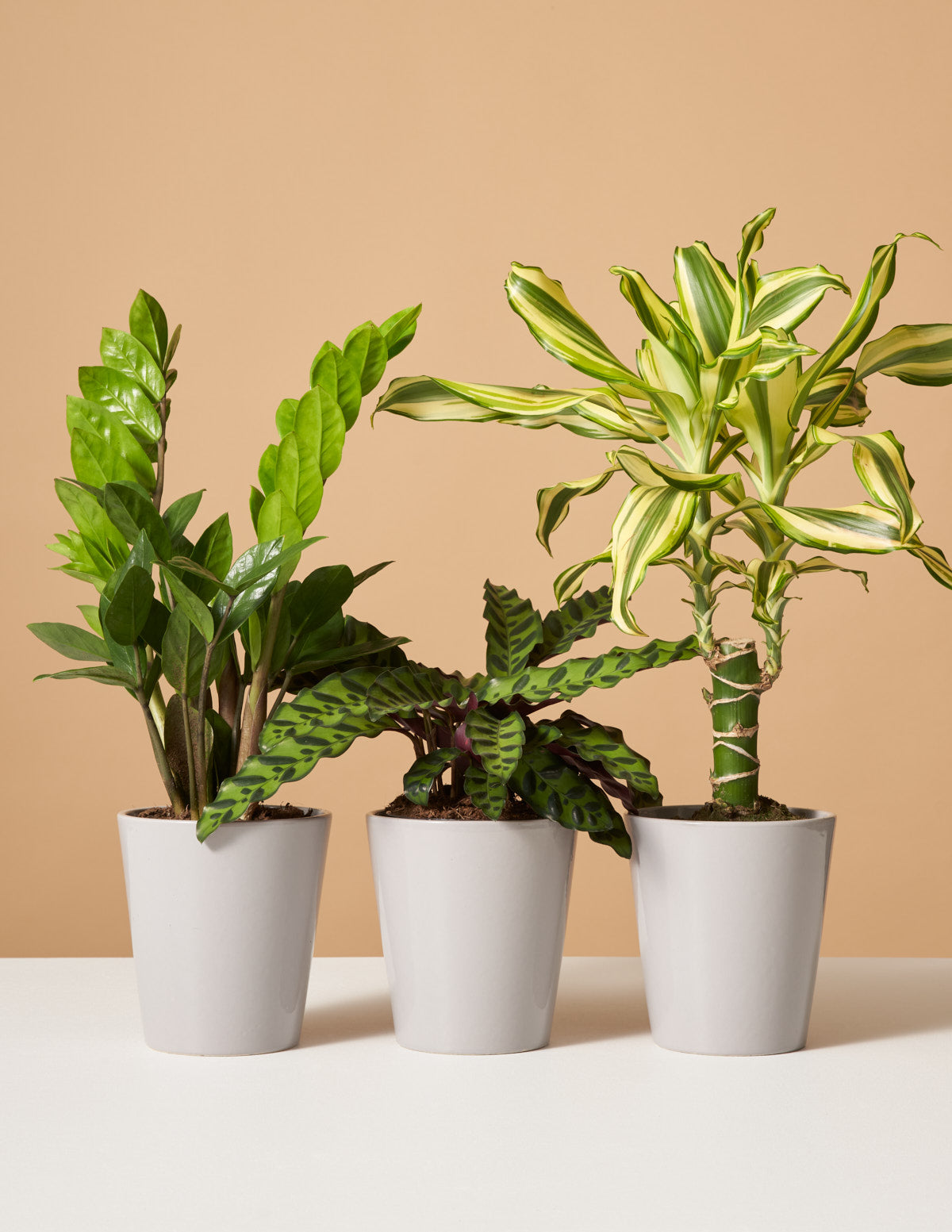 bundle | Grey | Monthly