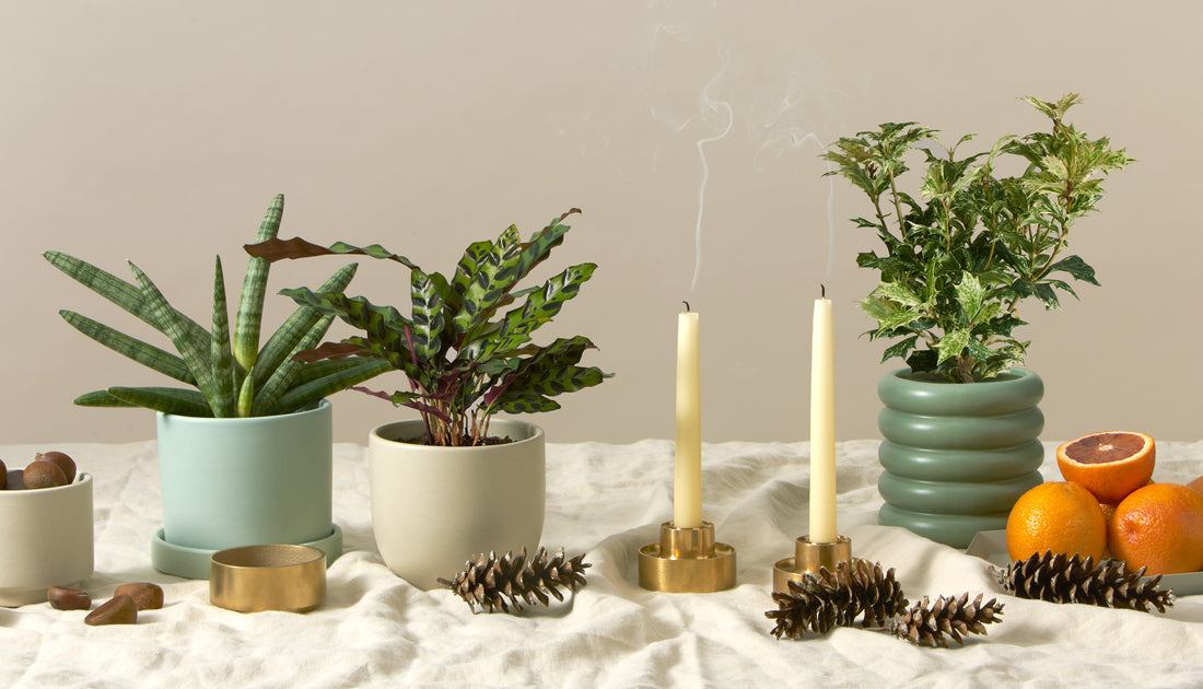 Our Top 10 Tips and Tricks To Beat the Winter Blues