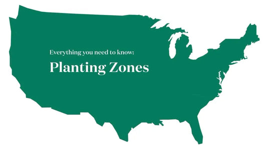 Gardening 101: Understanding USDA Plant Hardiness Zones
