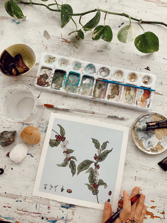 free plant illustrations to color