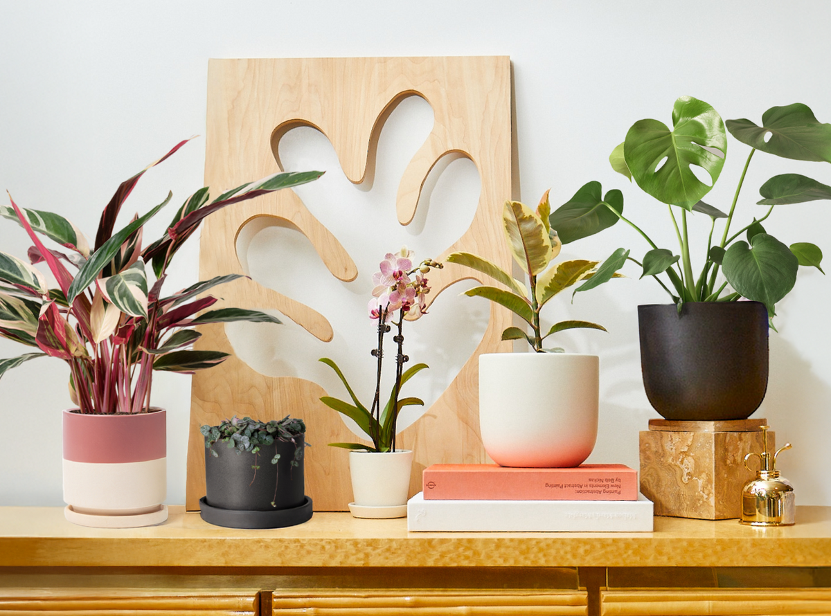 The Best Gifts for Every Love Language