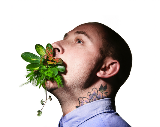 Plantfluencer Jesse Goldfarb