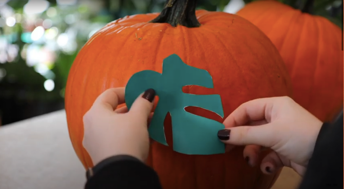 How to Carve a Pumpkin and DIY Plant Stencils