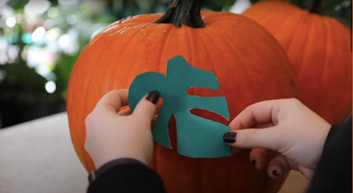 How to Carve a Pumpkin and DIY Plant Stencils