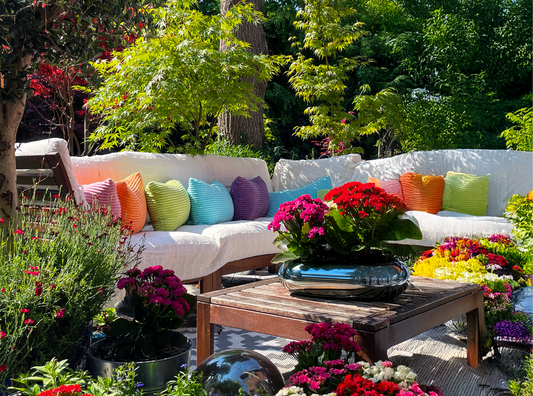 10 Best Plants for Beginner Gardeners