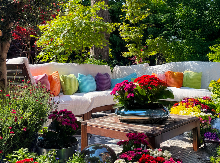 10 Best Plants for Beginner Gardeners