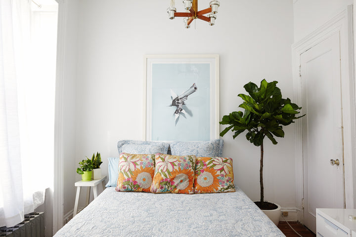 Top 5 Plants for Your Bedroom