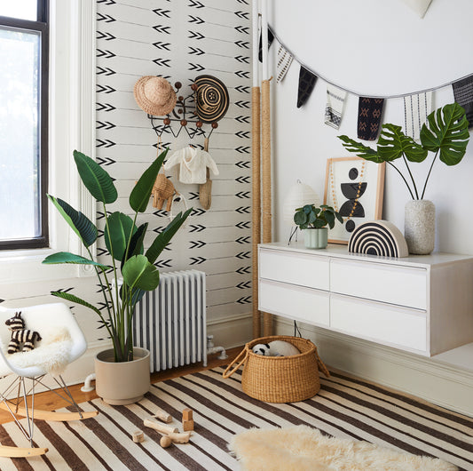 The Best Non-Toxic Plants for Your Baby's Nursery