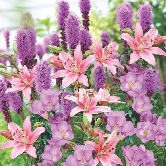 Top Spring-Flowering Bulbs to Plant for a Colorful Garden