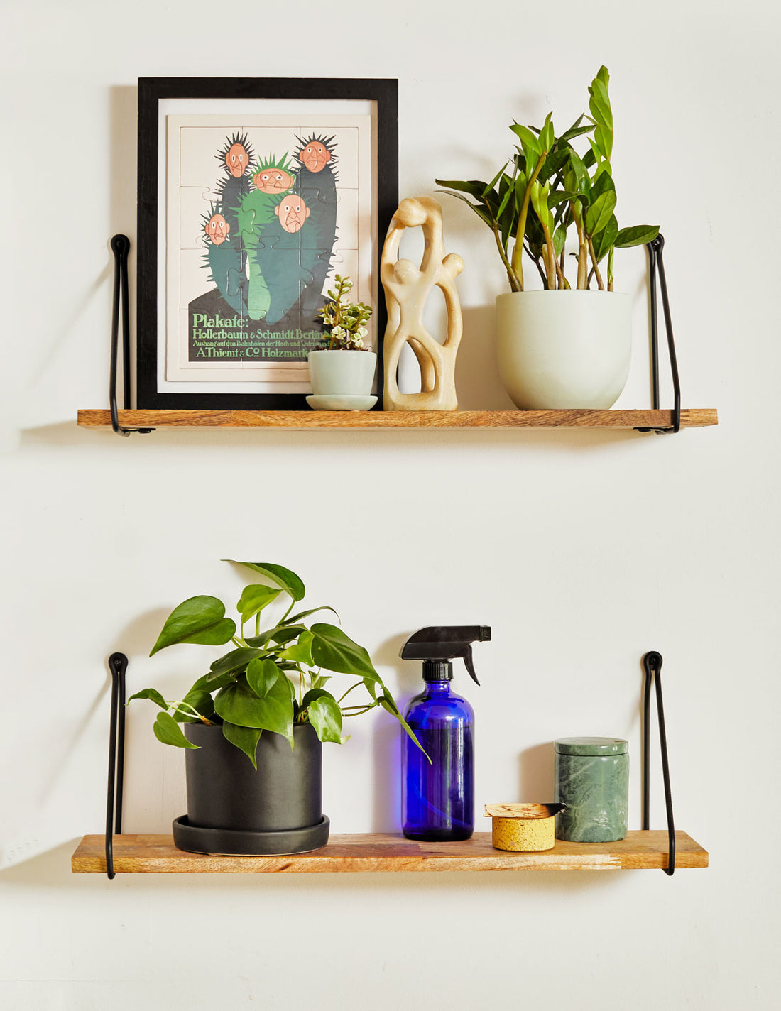 Our 6 Most Popular Houseplants for Fall