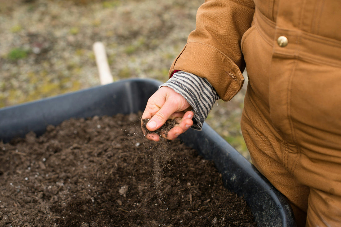 Gardening 101: Understanding Your Soil Type