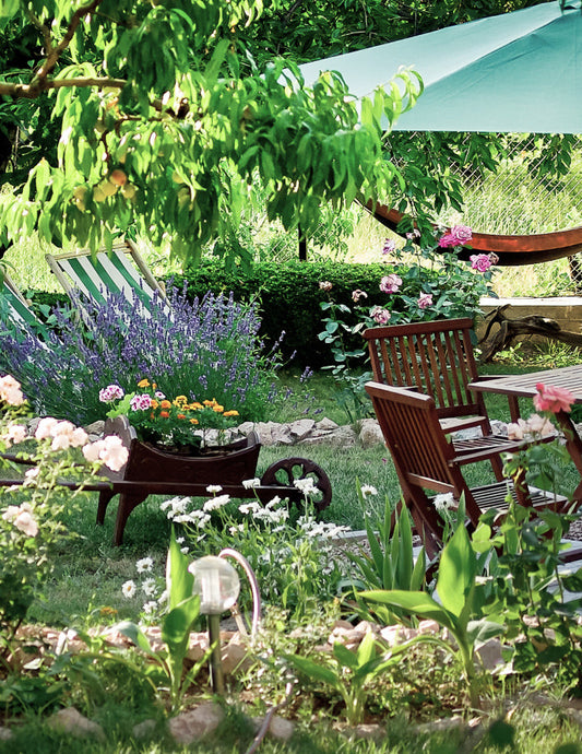 Spring Blooming Plants