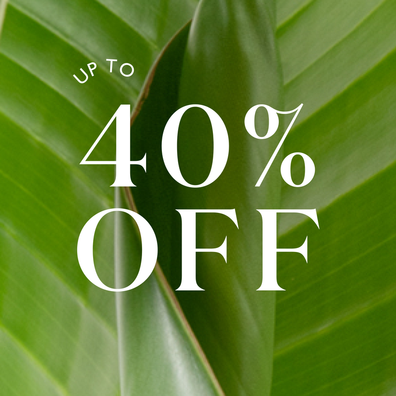 Our Best Sale of the Season