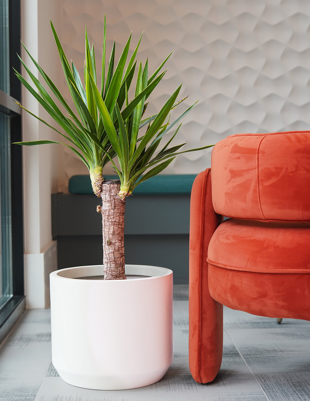 Mexia Lightweight Fiberglass Pot | Planters & Pots for Indoor